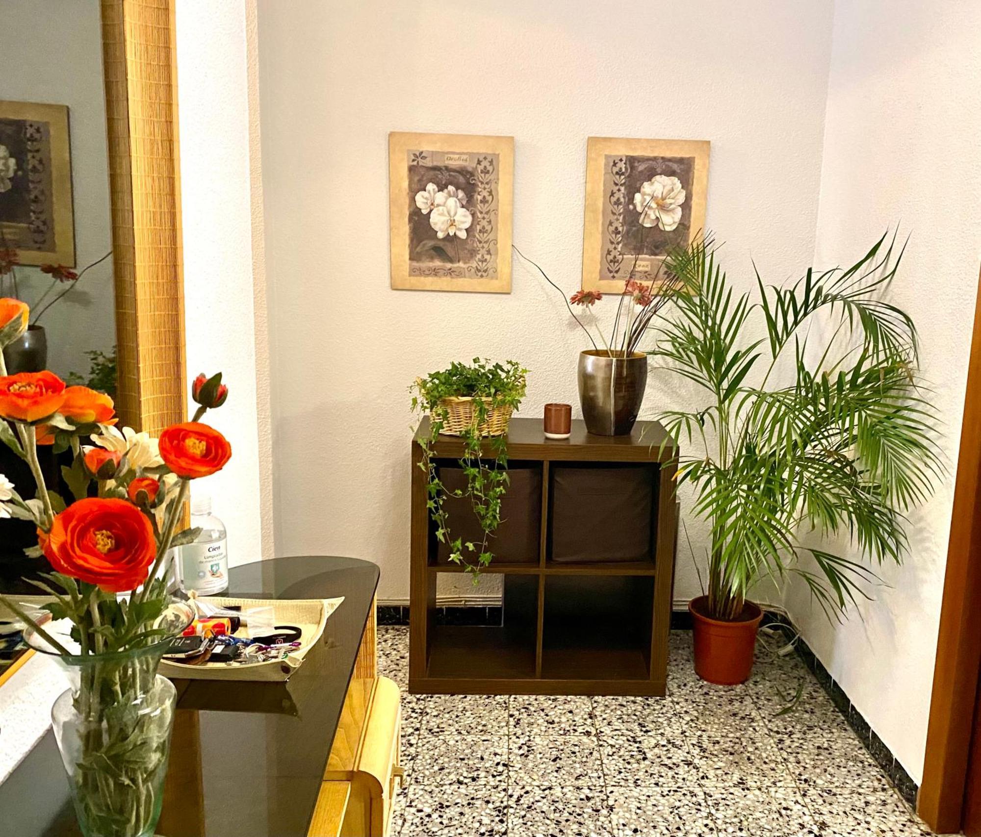 Habitacion My Home Alicante Exterior photo